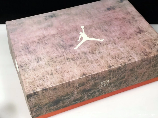 Air JTH Jordan Beige Bio AV6683-200 3 0709